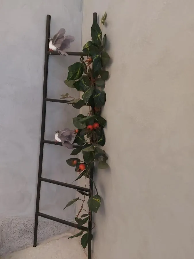 Thess Old Town With Free Private Parking Apartment Thessaloniki Greece